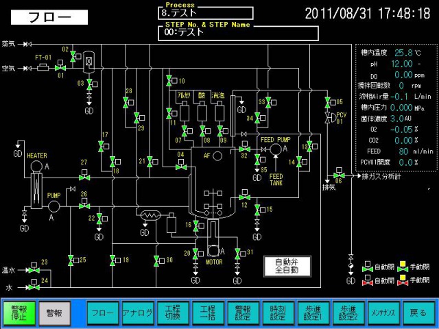 Process automation system