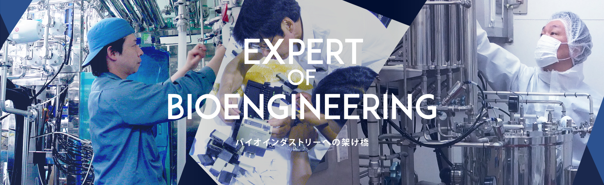 EXPERT OF BIOENGINEERING