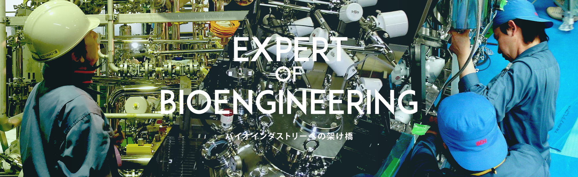 EXPERT OF BIOENGINEERING