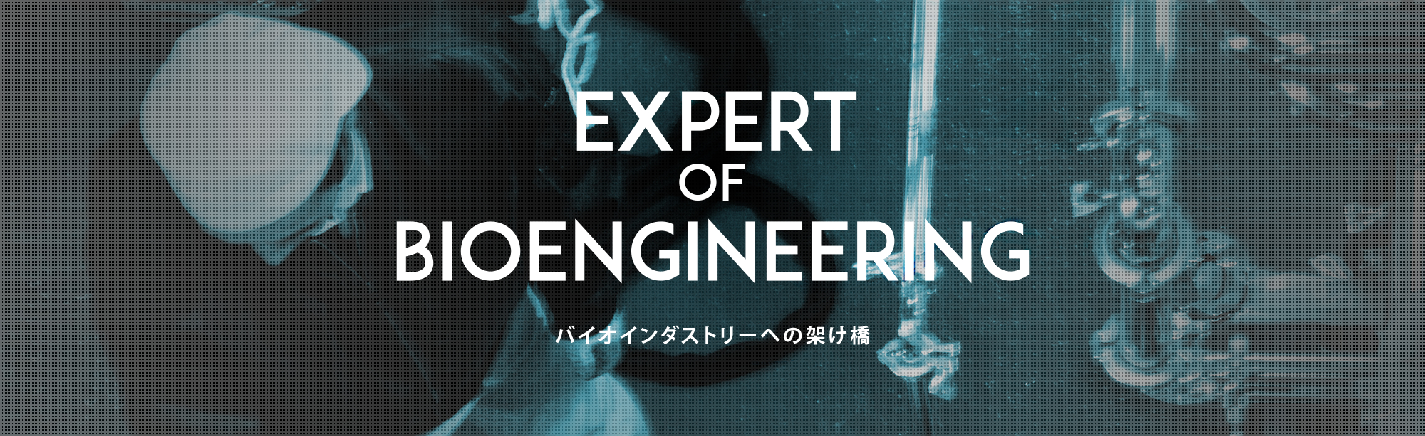 EXPERT OF BIOENGINEERING