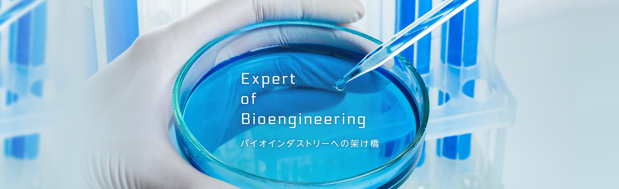 EXPERT OF BIOENGINEERING