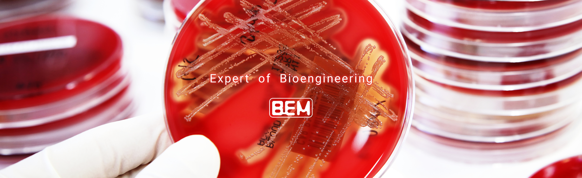 EXPERT OF BIOENGINEERING